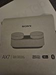 Sony AX7 Portable Sound System 