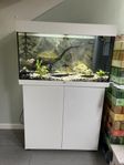 Juwel 125 liter akvarium med bänk & tillbehör