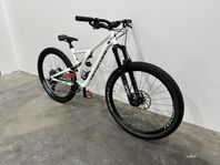 Specialized Stumpjumper Large -19