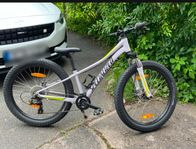 Mountainbike 24 tum Specialized Riprock 24