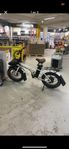 rawbike 250 watt 