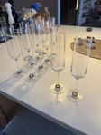 Champagneglas Orrefors Efva Attling