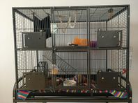 Metal cage for birds, reptiles, rats, small pets