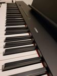 Yamaha P-225