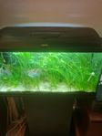 Komplett 112 liters akvarium 