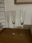 2 st Line Champagneglas, Kosta Boda