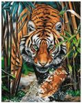 Diamond painting Tiger