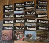 Fauna - den stora boken om om de vilda djurens liv