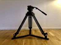 Manfrotto 503 HDV Videostativ