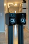 Bowers & Wilkins 707 S2 Pianolack + B&W stativ 