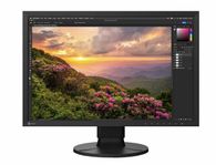 Bildskärm Eizo CS2400S ColorEdge