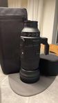 Sigma 150-600/5-6,3 DG DN Sports, Sony E-mount (fullformat)