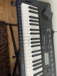 Casio CTK-3500