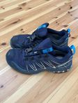 Salomonskor Goretex strl 42