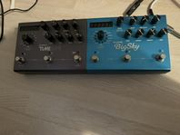 Strymon Timeline Big Sky