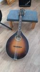 Levin Mandolin 