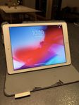 iPad Air 64 GB med fodral