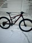 Specialized Epic Evo Expert