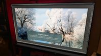 LG OLED C1 65"