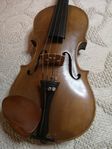 Violin 1/2 Stradivarius 1748