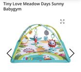 Tiny Love Babygym