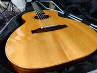 Olav Loef 12 string