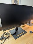 BenQ Monitor