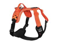 Non-Stop Dogwear Ramble Harness. NY!