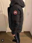 canadagoose mcmillan 