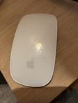 Magic Mouse