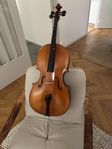 1/4 Cello