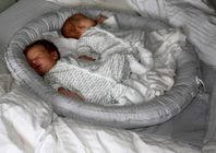 Babynest tvilling – det svenska originalet,  grå