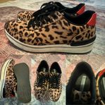 Sneakers leopard