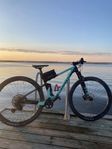 Bianchi methanol cv fs 9.3