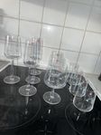 Iittala glas 