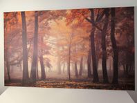 Canvas-tavla 100x60 cm – Höstig skog