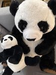 panda