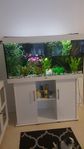 KOMPLETT AKVARIUM 350 LITER MED BÄNK