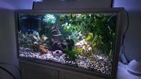 AKVARIUM 105 LITER 