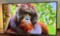 Smart Tv ULTRA HD 4K 60