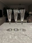 champagneglas ”Line” Kosta Boda 