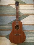 Tanglewood Winterleaf TW3E