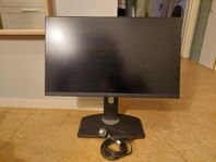 DELL Gaming Moniter