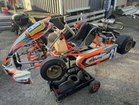 Go kart cadetti 