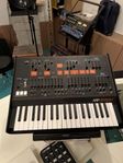 korg Arp odyssey