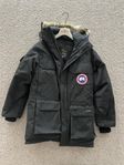  Canada Goose