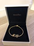 Pandora armband 