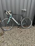 Bianchi infinito CV 