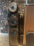 Bowers wilkins 802d3