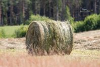 Hösilage till salu